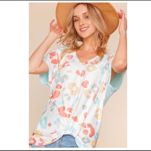 Multicolor Animal Print V-Neck Top - Picture 1 of 7